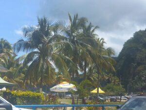 maracas3