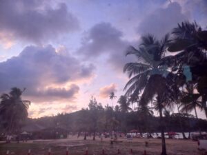 maracas4